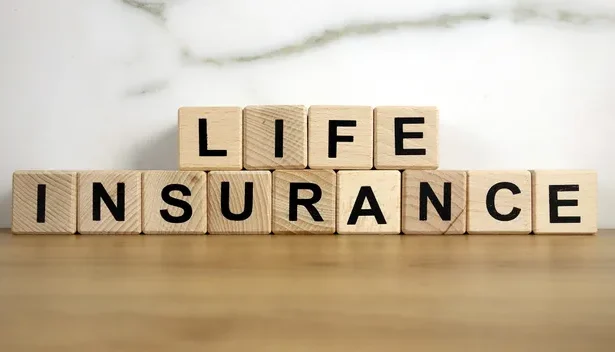 What is the main purpose of life insurance?